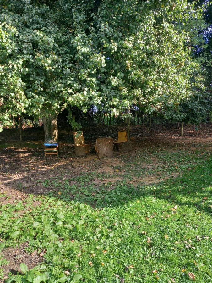 Les Insolites De Nini Grainville-Ymauville Eksteriør billede
